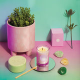 Halló Iceland Angelica Herb Candle